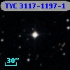 TYC 3117-1197-1