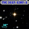 TYC 3117-1207-1