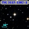 TYC 3117-1302-1