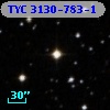 TYC 3130-783-1
