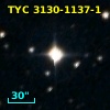 TYC 3130-1137-1