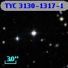 TYC 3130-1317-1