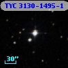 TYC 3130-1495-1