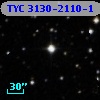 TYC 3130-2110-1