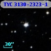 TYC 3130-2323-1