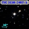 TYC 3130-2487-1