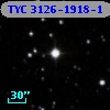 TYC 3126-1918-1