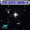 TYC 3131-1076-1