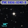TYC 3131-1242-1