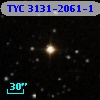 TYC 3131-2061-1