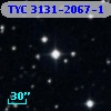 TYC 3131-2067-1