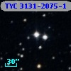 TYC 3131-2075-1