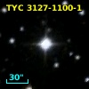 TYC 3127-1100-1