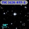 TYC 3128-877-1