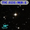 TYC 3131-960-1