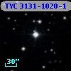 TYC 3131-1020-1