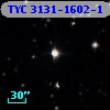 TYC 3131-1602-1