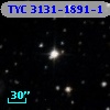TYC 3131-1891-1