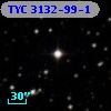 TYC 3132-99-1