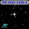 TYC 3132-1129-1