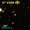 V* V368 Lyr