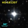 HD 181207
