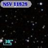 NSV 11828