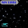 NSV 11891