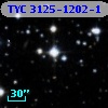 TYC 3125-1202-1