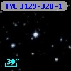 TYC 3129-320-1