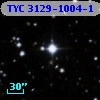 TYC 3129-1004-1