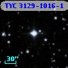 TYC 3129-1016-1