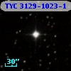 TYC 3129-1023-1