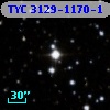 TYC 3129-1170-1