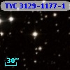 TYC 3129-1177-1