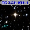 TYC 3129-1688-1