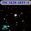 TYC 3129-1877-1