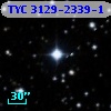 TYC 3129-2339-1