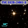 TYC 3129-2491-1