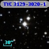 TYC 3129-3020-1