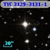TYC 3129-3131-1