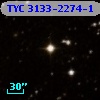 TYC 3133-2274-1