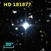 HD 181877