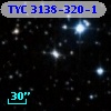 TYC 3138-320-1