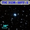 TYC 3138-1077-1