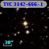TYC 3142-666-1