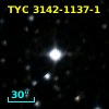 TYC 3142-1137-1