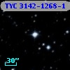 TYC 3142-1268-1