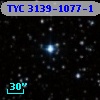 TYC 3139-1077-1