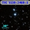 TYC 3139-2460-1
